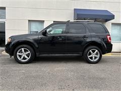 2012 Ford Escape