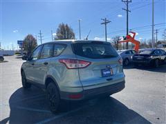 2013 Ford Escape S